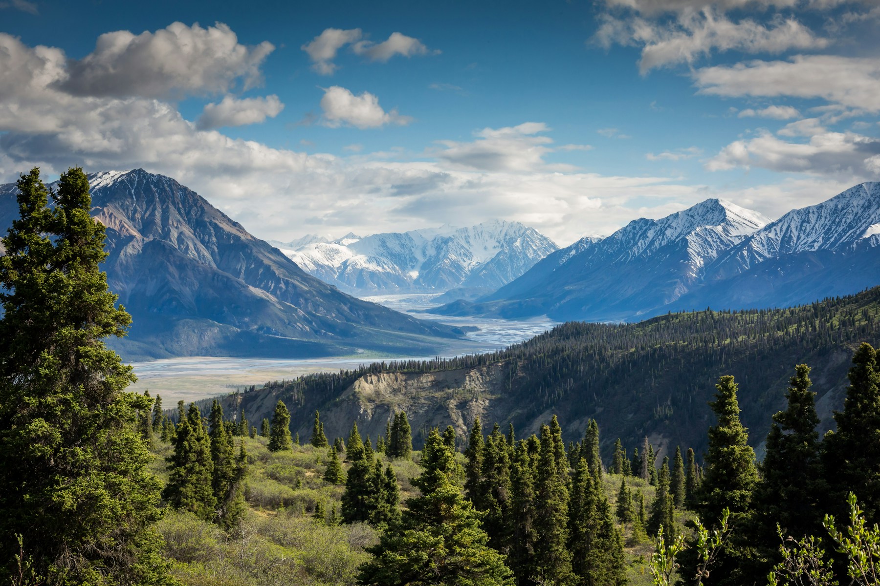 Forest-covered slopes opening onto a distant mountain horizon
